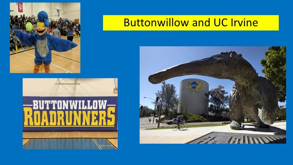 February University of the Month--UC Irvine