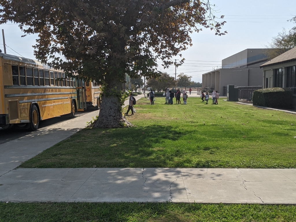 bus loading 2